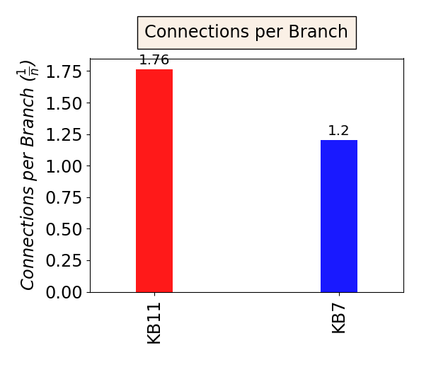 Connections per Branch